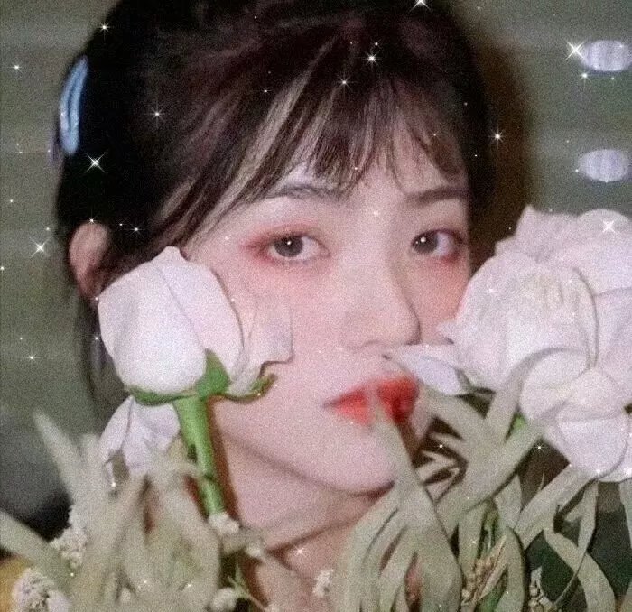 霍兰先生的乐章